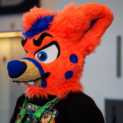 Durr